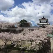 RADの画像