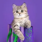 ...unの画像