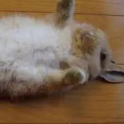 きのこぉ
