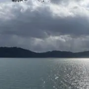 律の画像