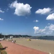 yamyamの画像
