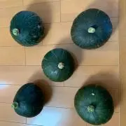 tippysの画像