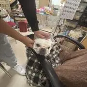 逆襲のだりぃの画像