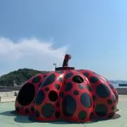 Mamiの画像