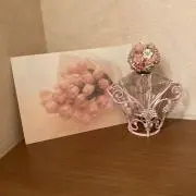 Ariesの画像