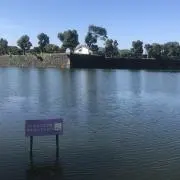 チャチャ