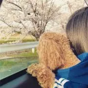 まなほ