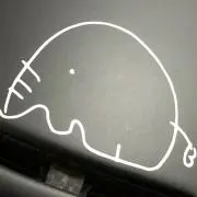 wa4corvの画像