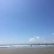 そらねこの画像