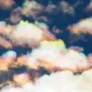 ゆりの画像