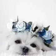 ＊みっち＊