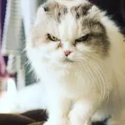 KRMの画像