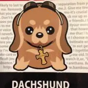 ともちゃん♡