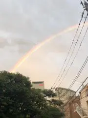 harusukeの画像
