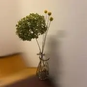 ninaの画像
