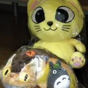 のら猫ハウスめぐ   レトロ会館？の画像