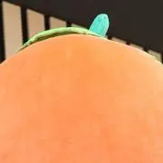 erの画像