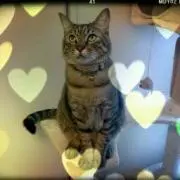 渡邉だいず