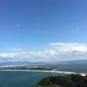 まりもの画像
