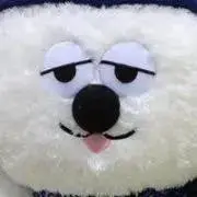 くまぽんの画像