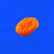PSの画像