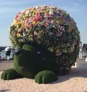 ゆきの画像