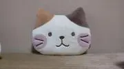 ゆきんこの画像