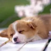 なんたく