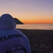 こたつ