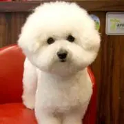ふわふわの画像