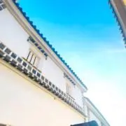 わかちゃんの画像