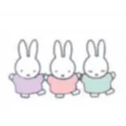 sの画像