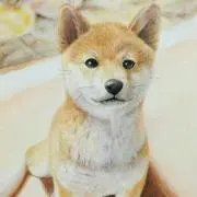 Non