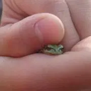 まる