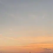 かめの画像