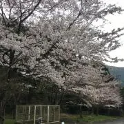 はやて