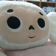 美紀の画像