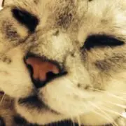 まなと