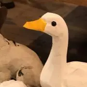 まる
