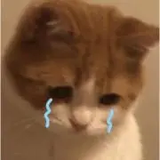 yn