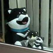 しばんばんの画像