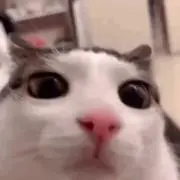 なつみ