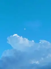 こしあんの画像