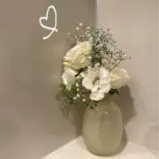 はちの画像