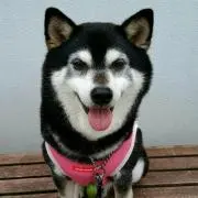 exけいた