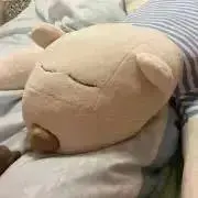 emaの画像