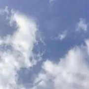 もちの画像