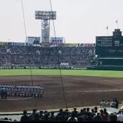 ブラキリア　値下げまとめ売りはコメントをの画像