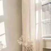 らんの画像