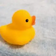 あひる